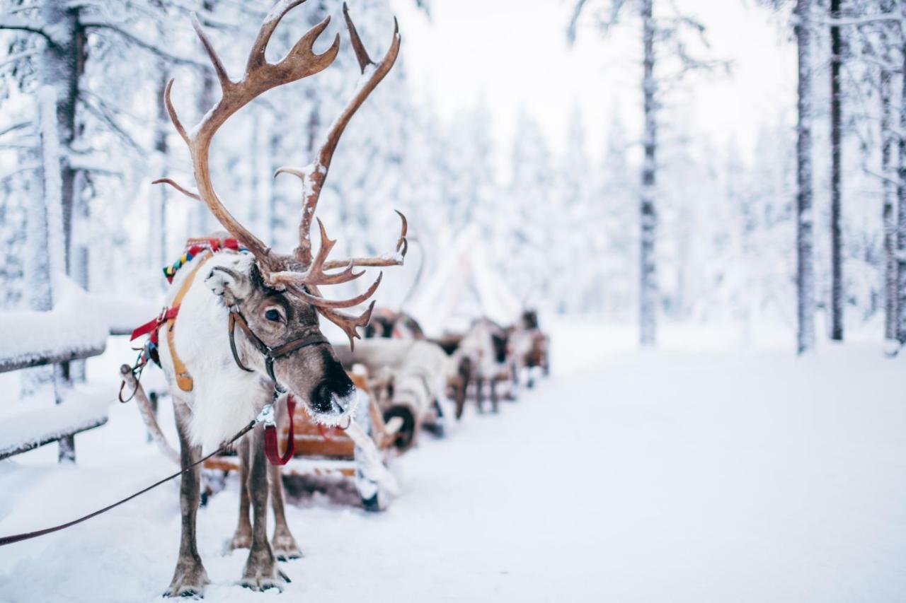 Forenom Serviced Apartments Rovaniemi Valtakatu 외부 사진